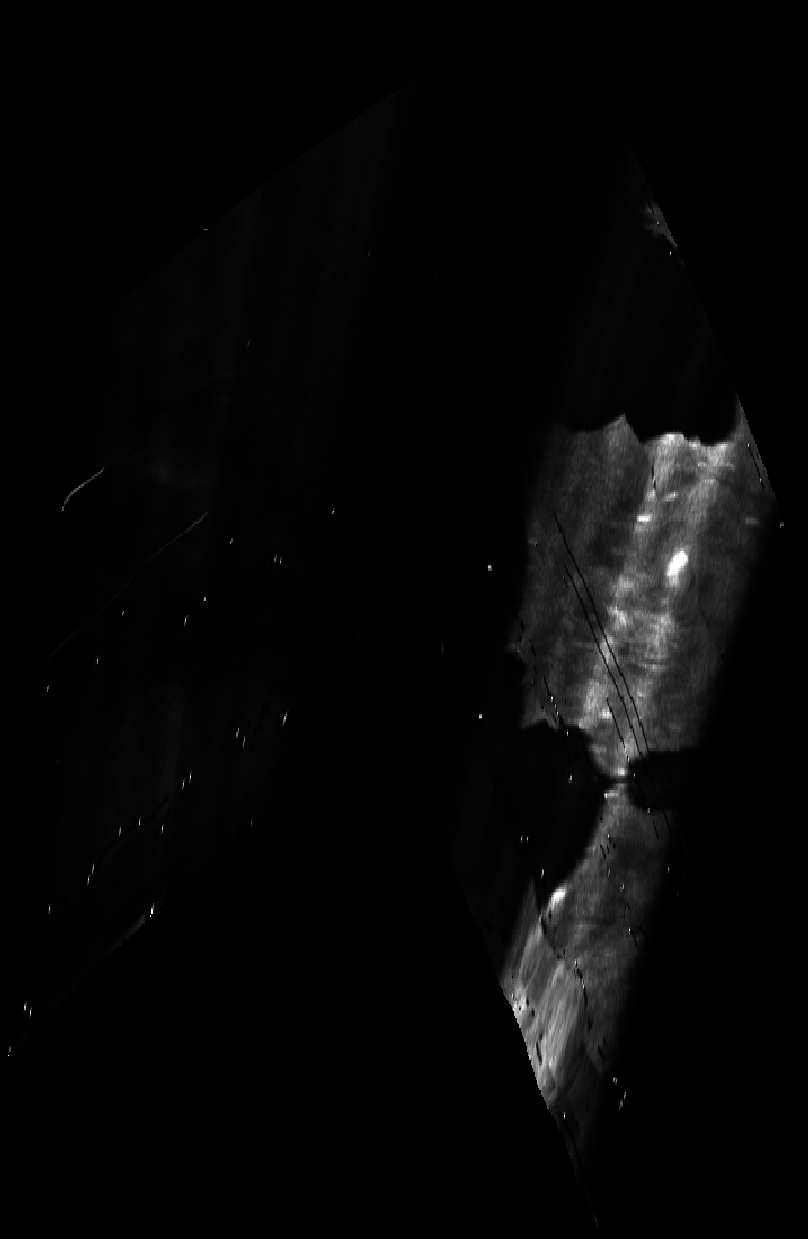 ascat_grayscale_proj_forward.png